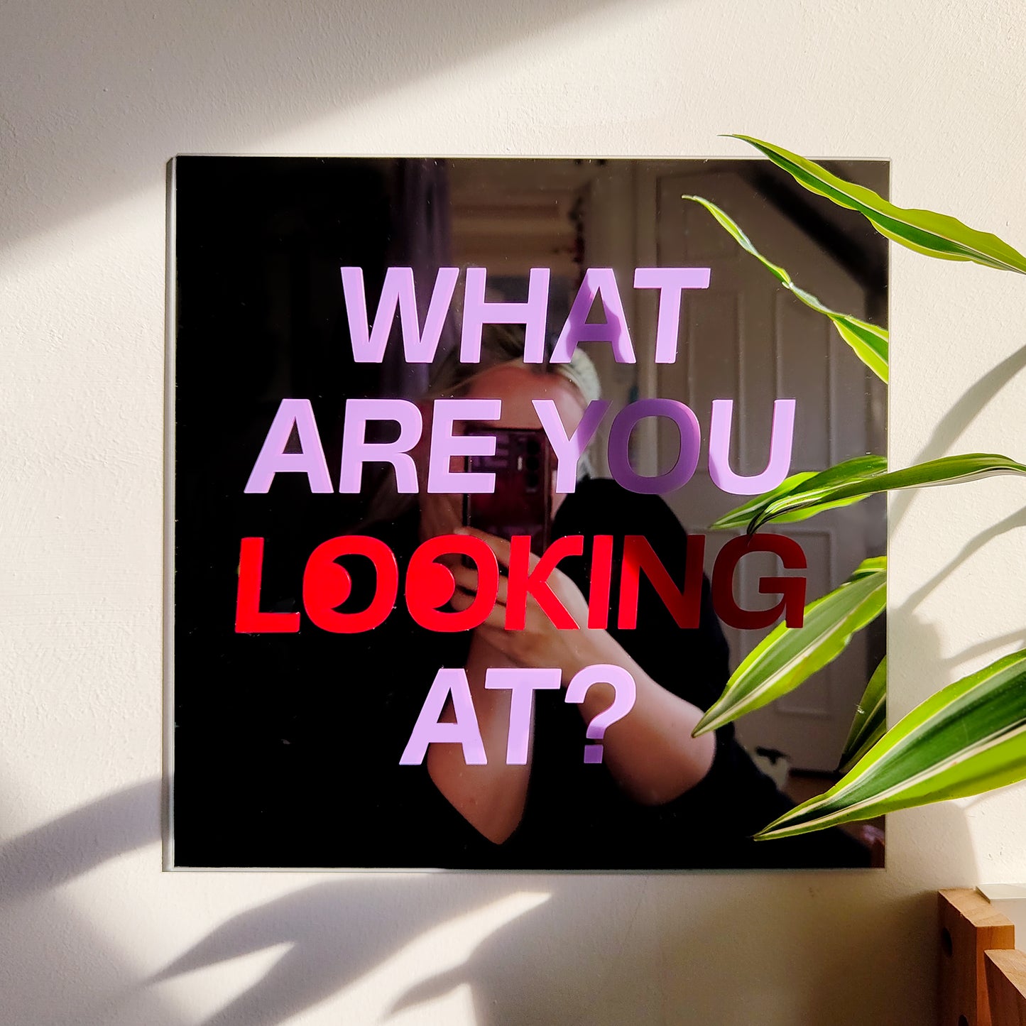 'What are you Looking at?' Mirror