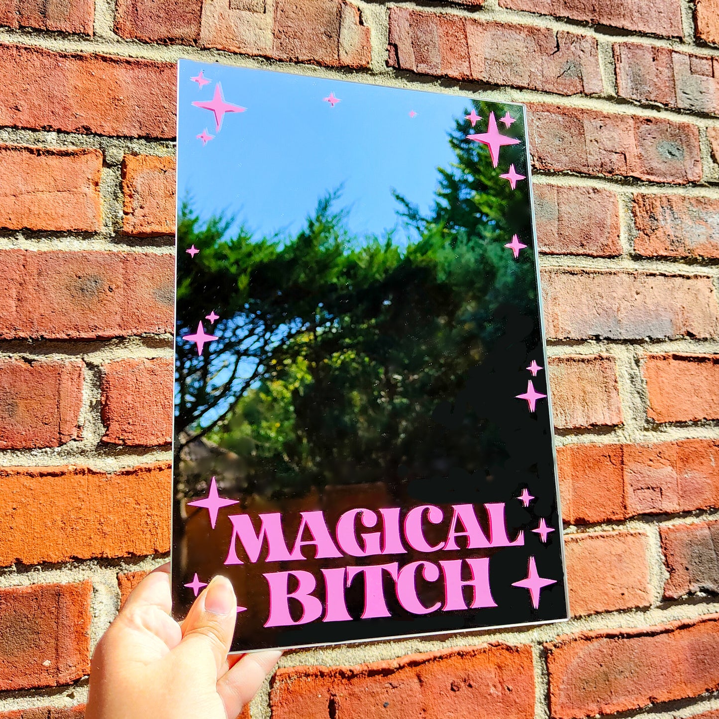 'Magical Bitch' Mirror