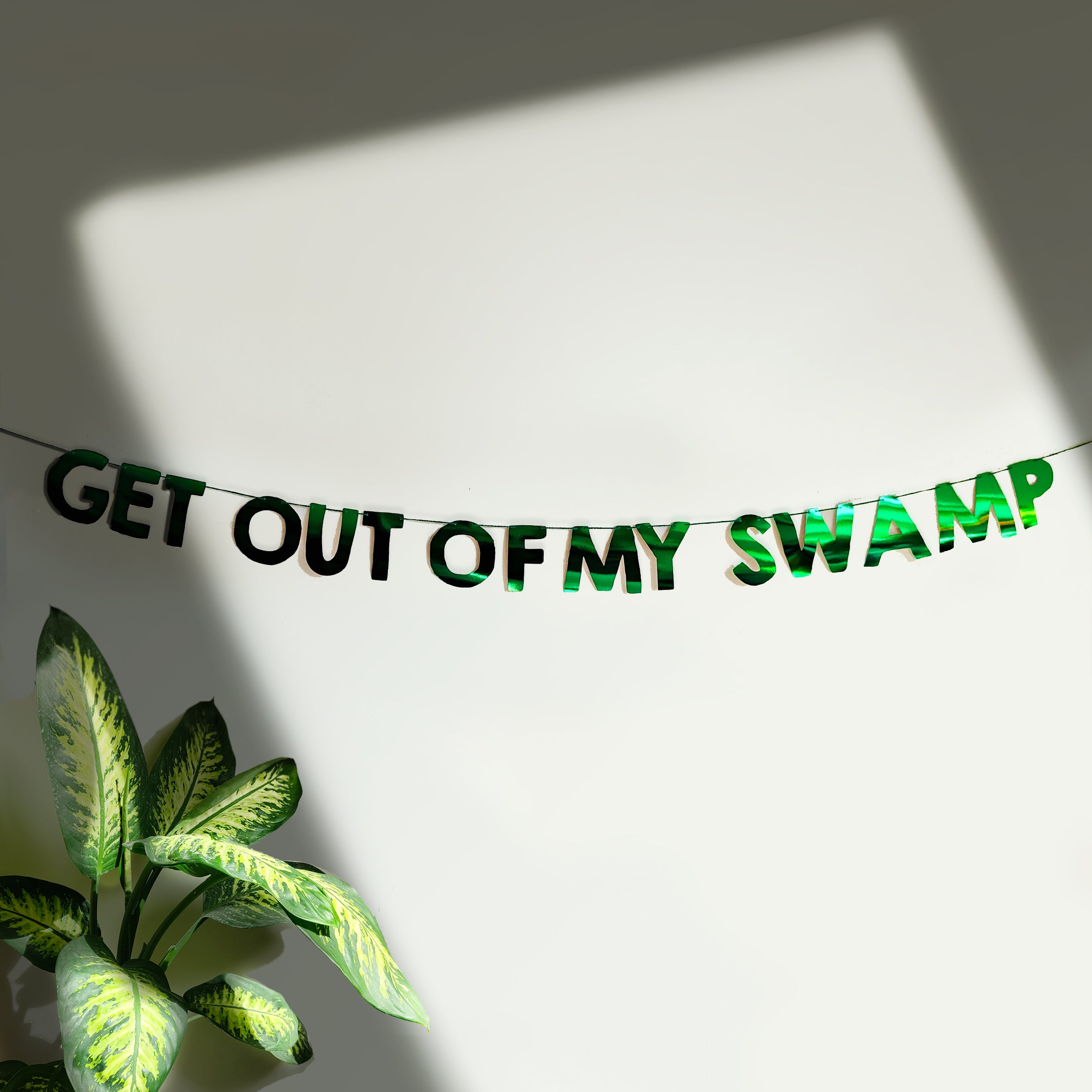 'Get out of my Swamp' String Bunting (Choose your size)