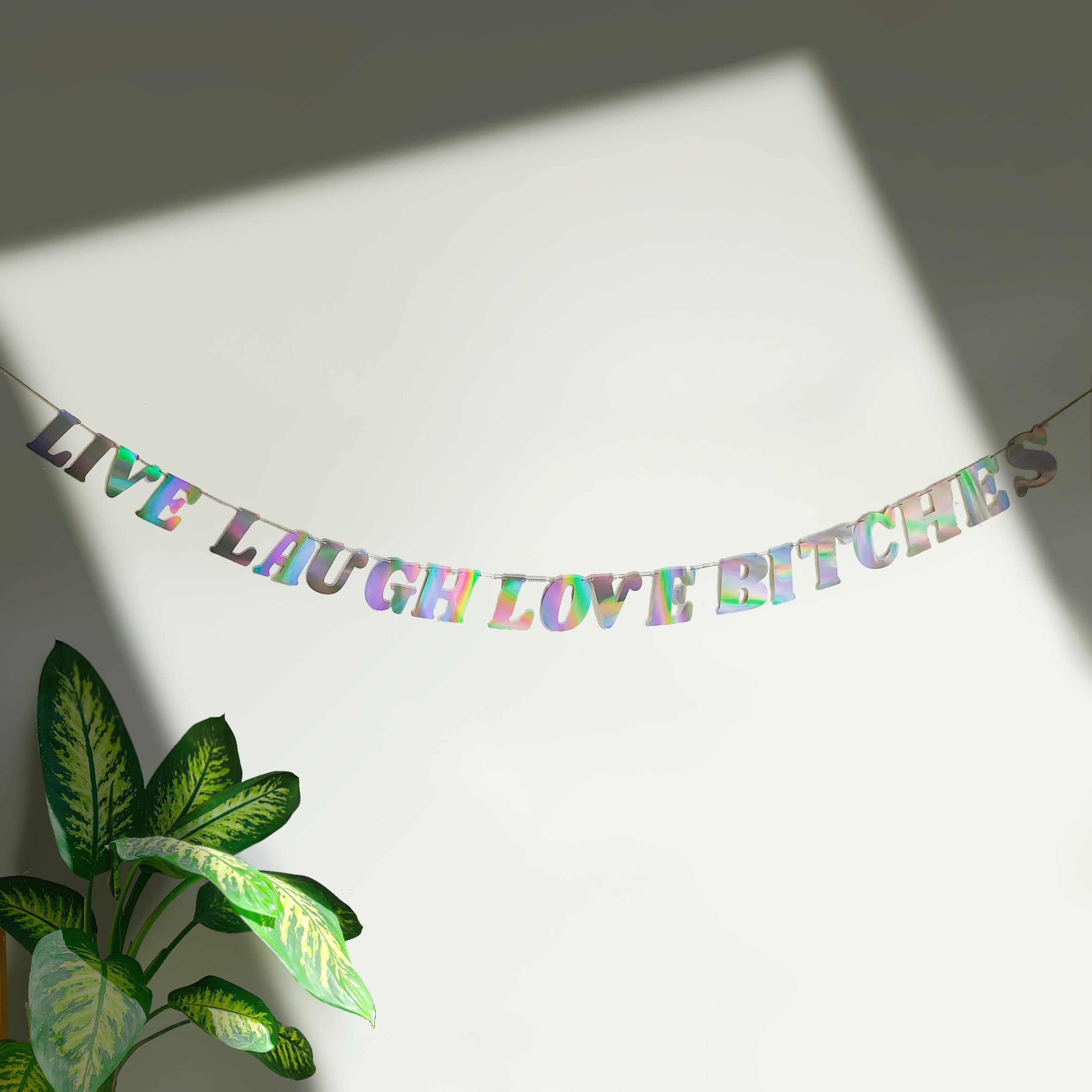 'Live Laugh Love B****es' String Bunting