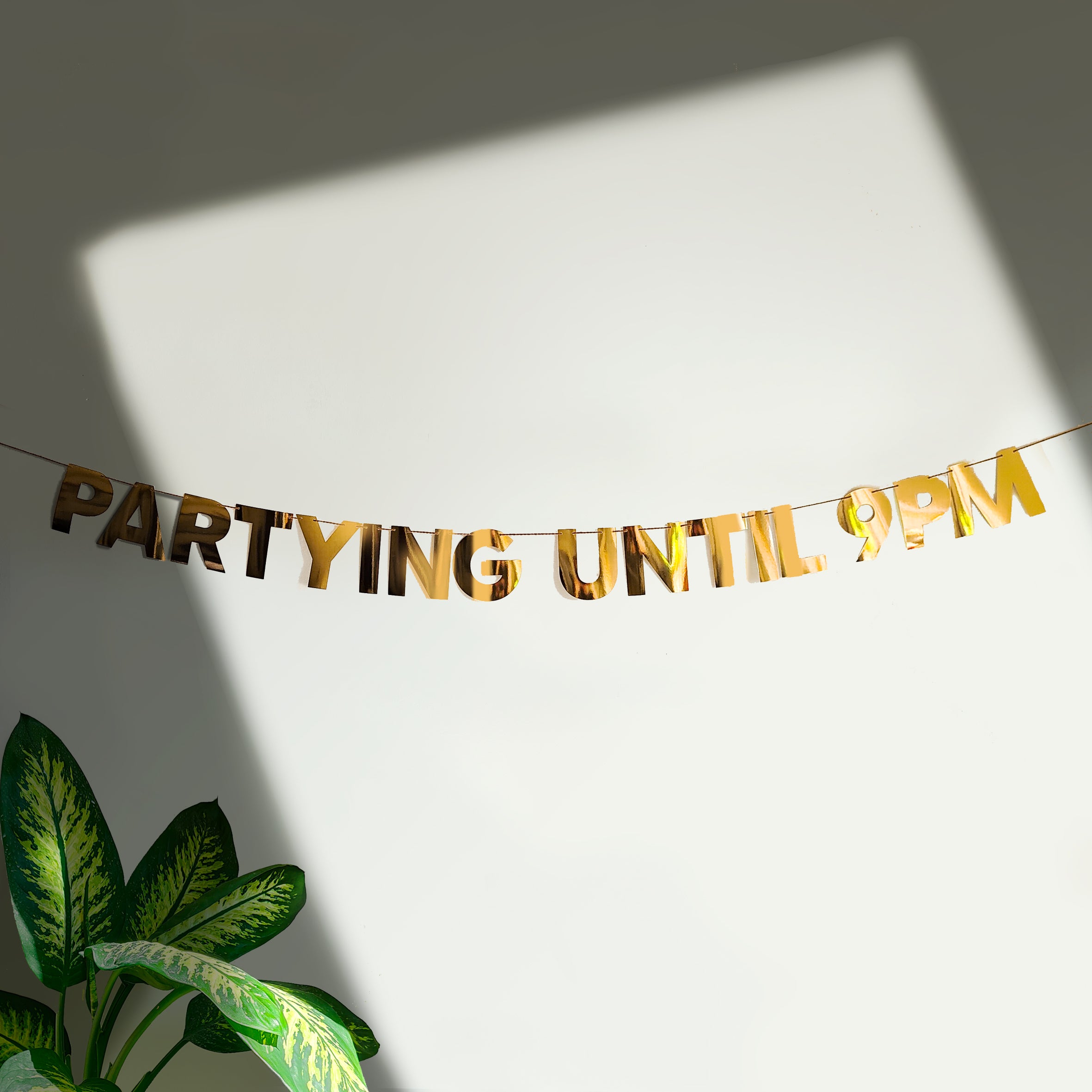 'Partying Until 9pm' String Bunting
