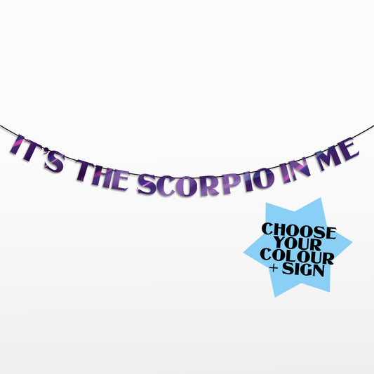 'It's the 'ZODIAC SIGN' in me' String Bunting (Choose your sign + colour)