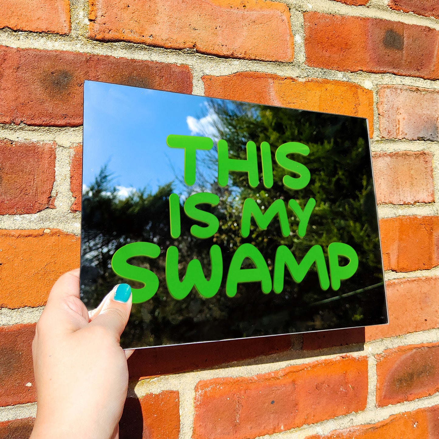 'This is my Swamp' Mirror